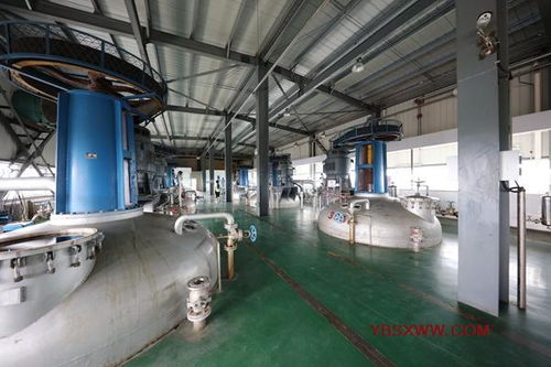 科為博 以工業(yè)酶制劑研發(fā)為核心，引領(lǐng)生物科技新高度
